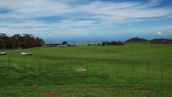 128 Lot 128 Wainoenoe Road Kamuela, HI 96743 - Photo 7 of 25 a yard with lots of green space and mountain view