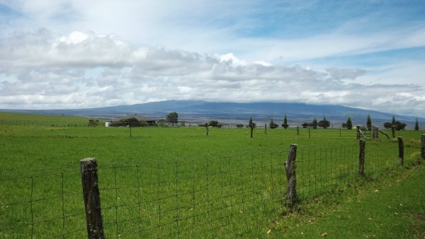 128 Lot 128 Wainoenoe Road Kamuela, HI 96743 - Photo 10 of 25