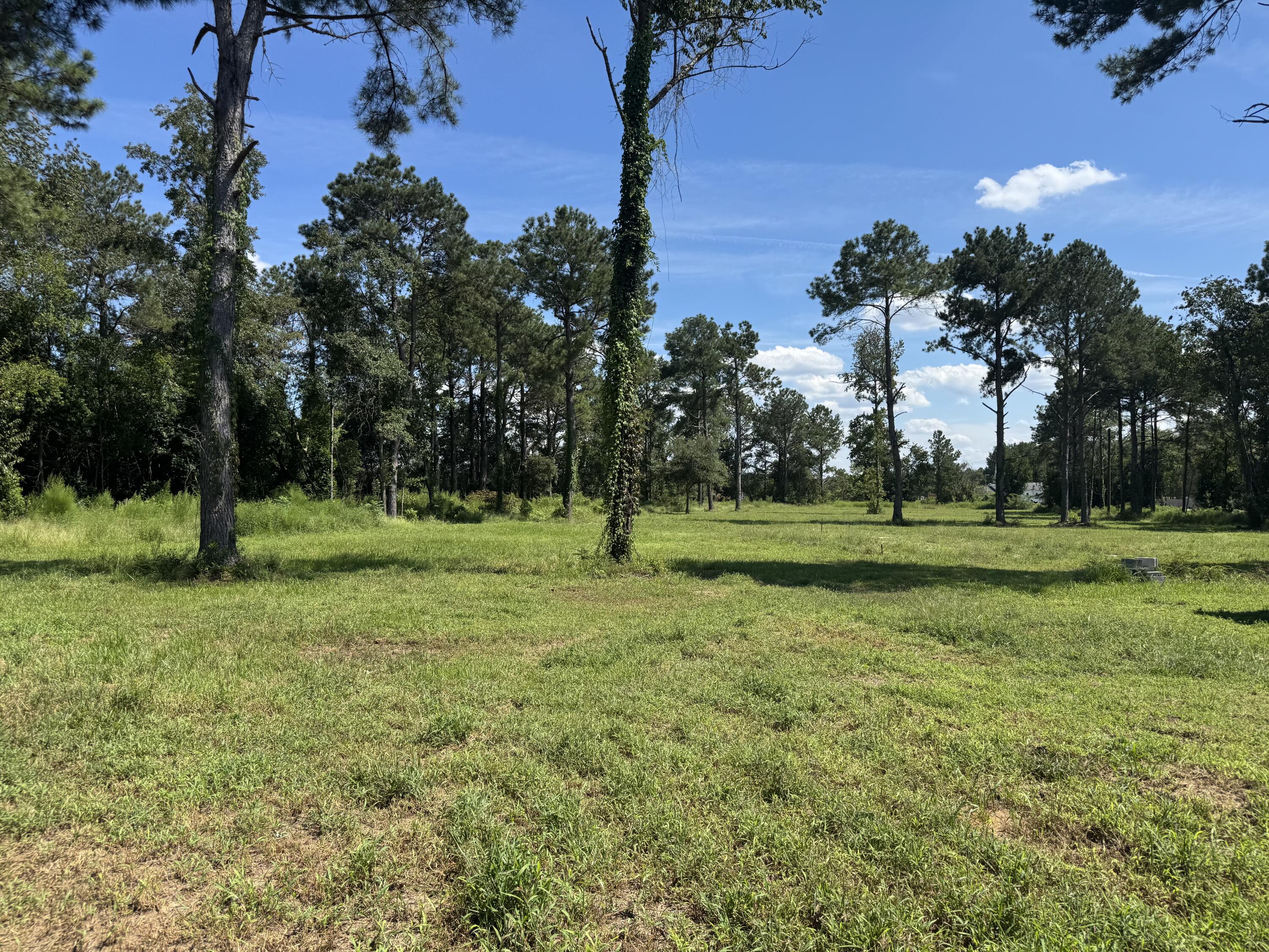 7527 Old Highway, Unit SIX Santee, SC 29142 - Photo 6 of 25 IMG_0982