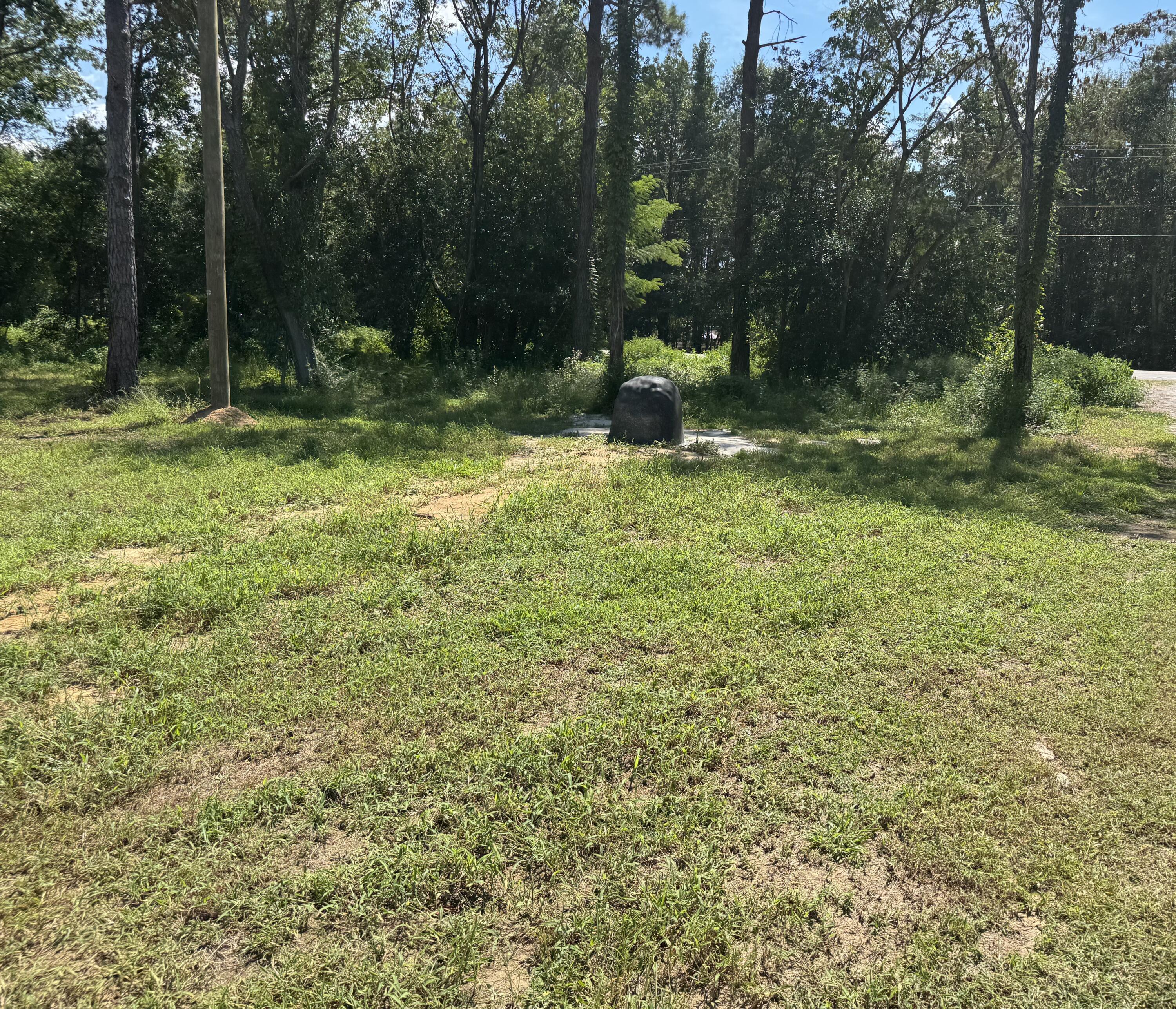 7527 Old Highway, Unit SIX Santee, SC 29142 - Photo 9 of 25 IMG_0986