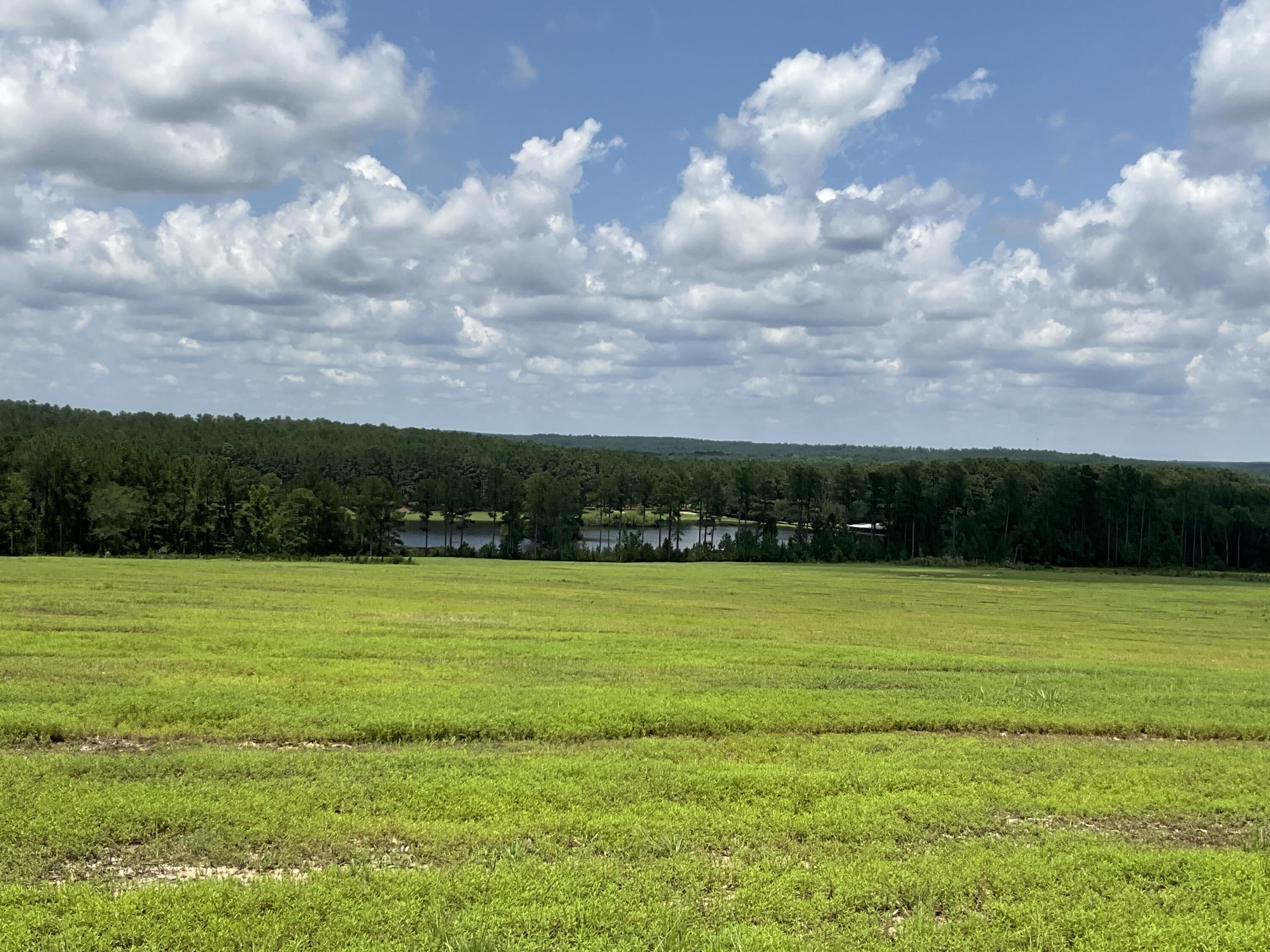 50 Laughlin Loop Aiken, SC 29805 - Photo 8 of 8