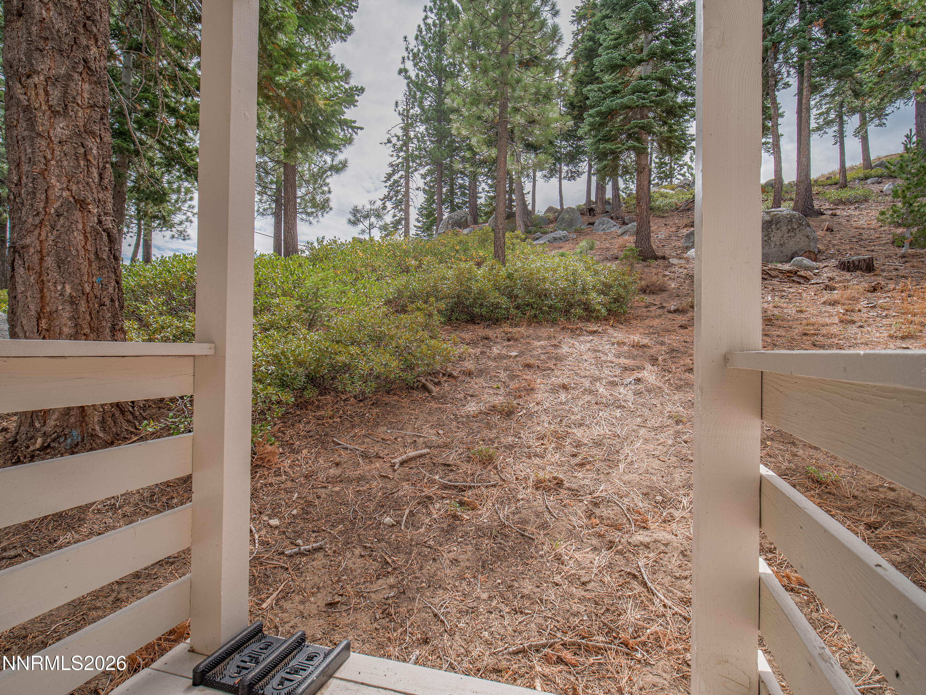 761 Milky Way Court, Unit A Stateline, NV 89449 - Photo 38 of 43 a view of a backyard with trees