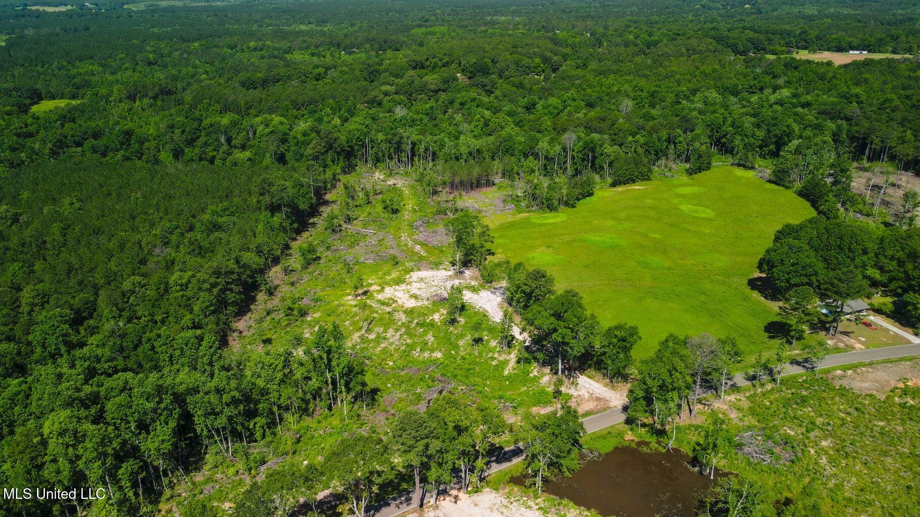 Parcel C South Mill Creek Road Purvis, MS 39475 - Photo 2 of 2 20260226191850578887000000-o