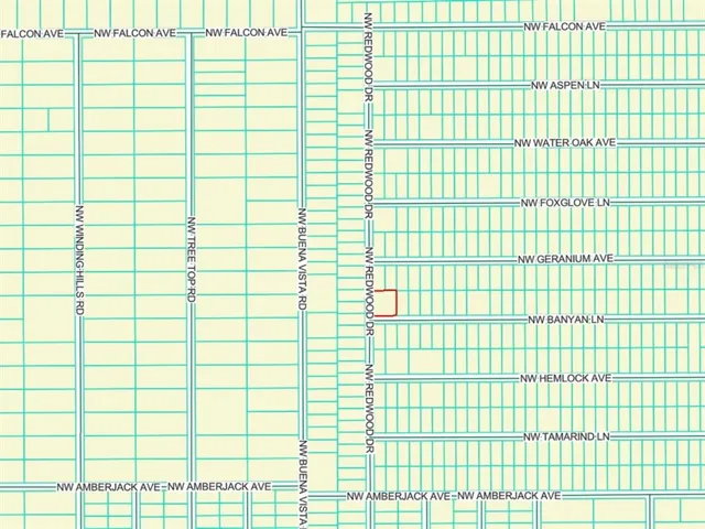 $25,000 | 65 Northwest Banyan Lane, Dunnellon, FL 34431