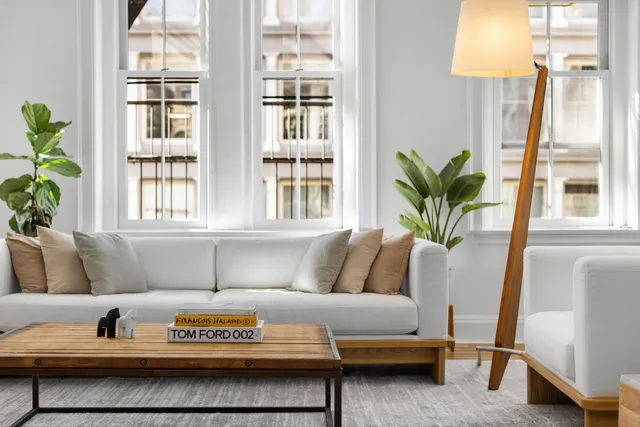 a living room with furniture and a potted plant