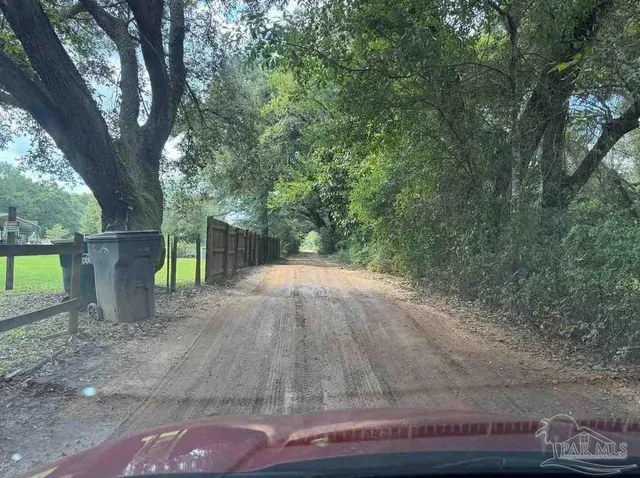 a backyard of a house with large trees and wooden fence