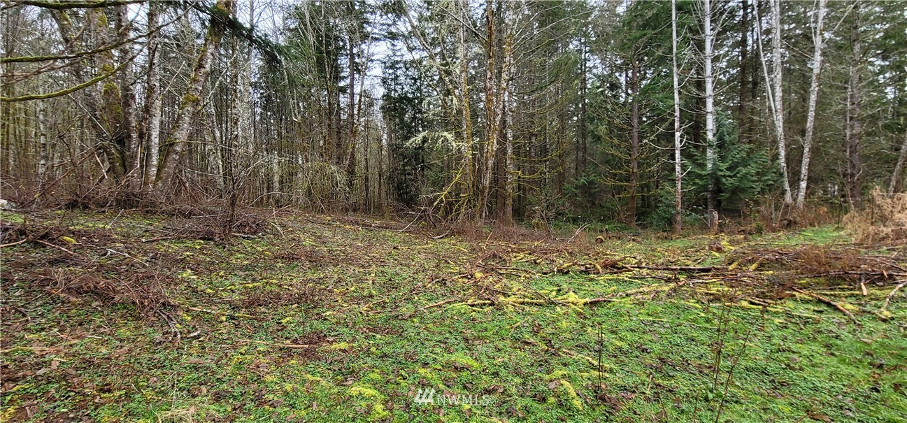 429 Rivendell Road Grapeview, WA 98546 - Photo 32 of 40 Gallery Image 32
