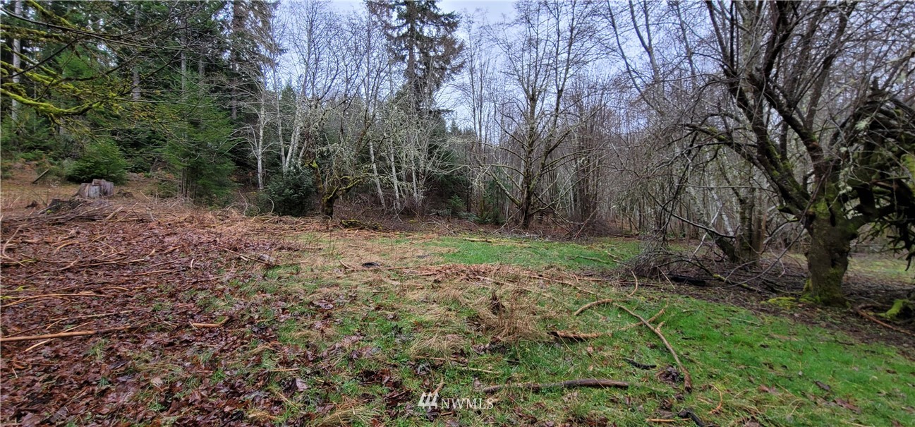 429 Rivendell Road Grapeview, WA 98546 - Photo 33 of 40 Gallery Image 33