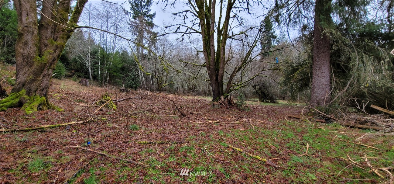 429 Rivendell Road Grapeview, WA 98546 - Photo 34 of 40 Gallery Image 34