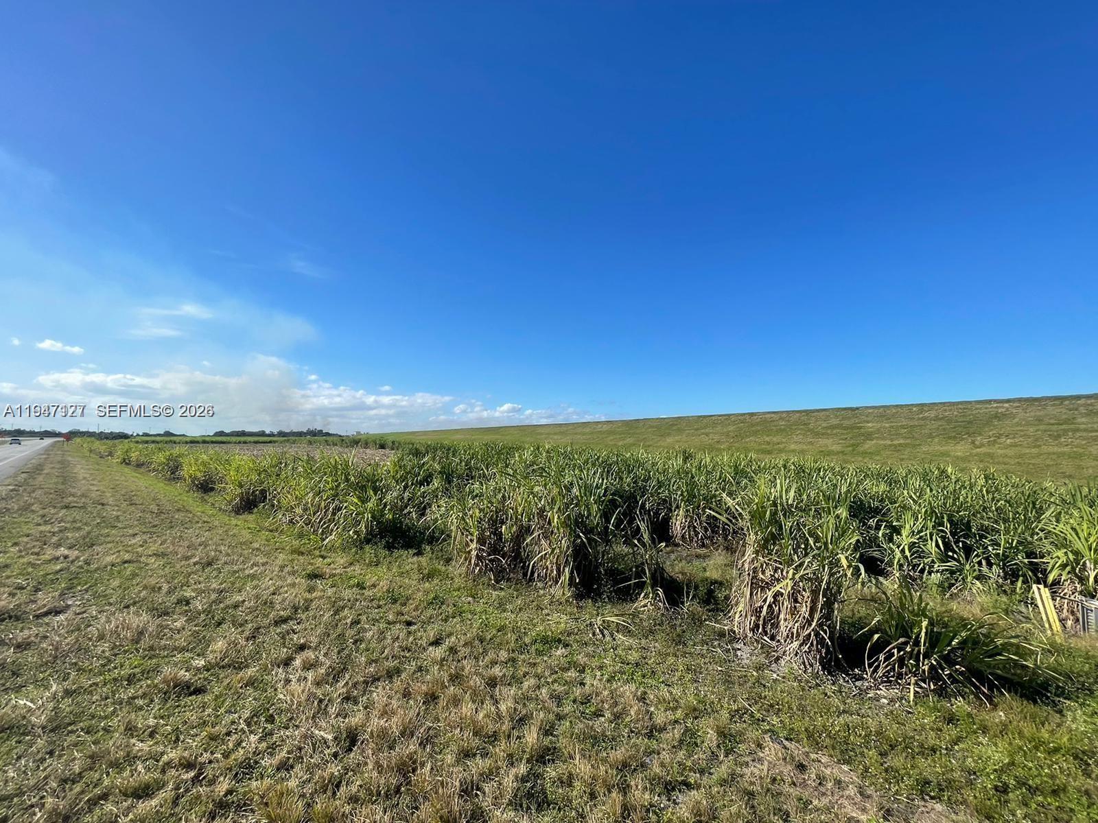 80 State Road Clewiston, FL 33440 - Photo 2 of 4 Photo 2
