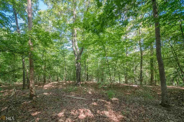 a view of outdoor space and trees