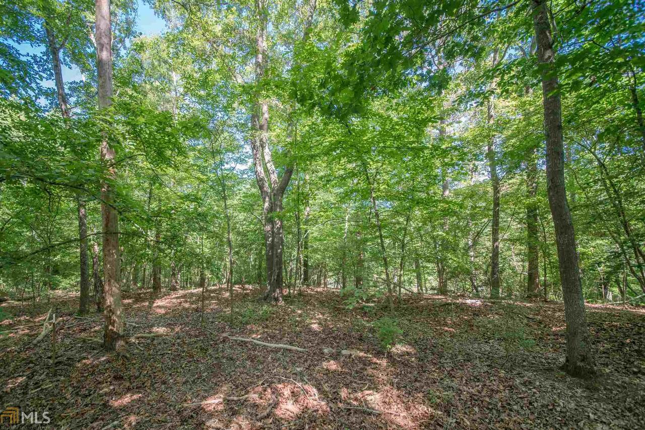 780 Macon Highway Athens, GA 30606 - Photo 6 of 7 a view of outdoor space and trees