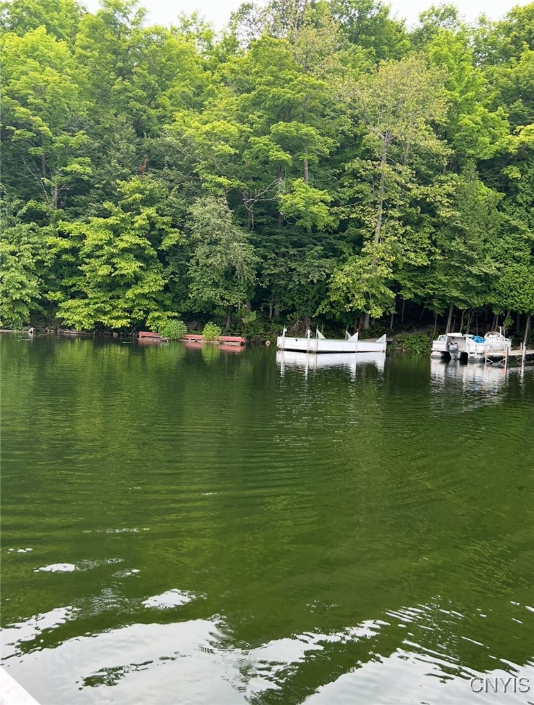 149 Blue Pike Road Rossie, NY 13642 - Photo 17 of 25 Dock area