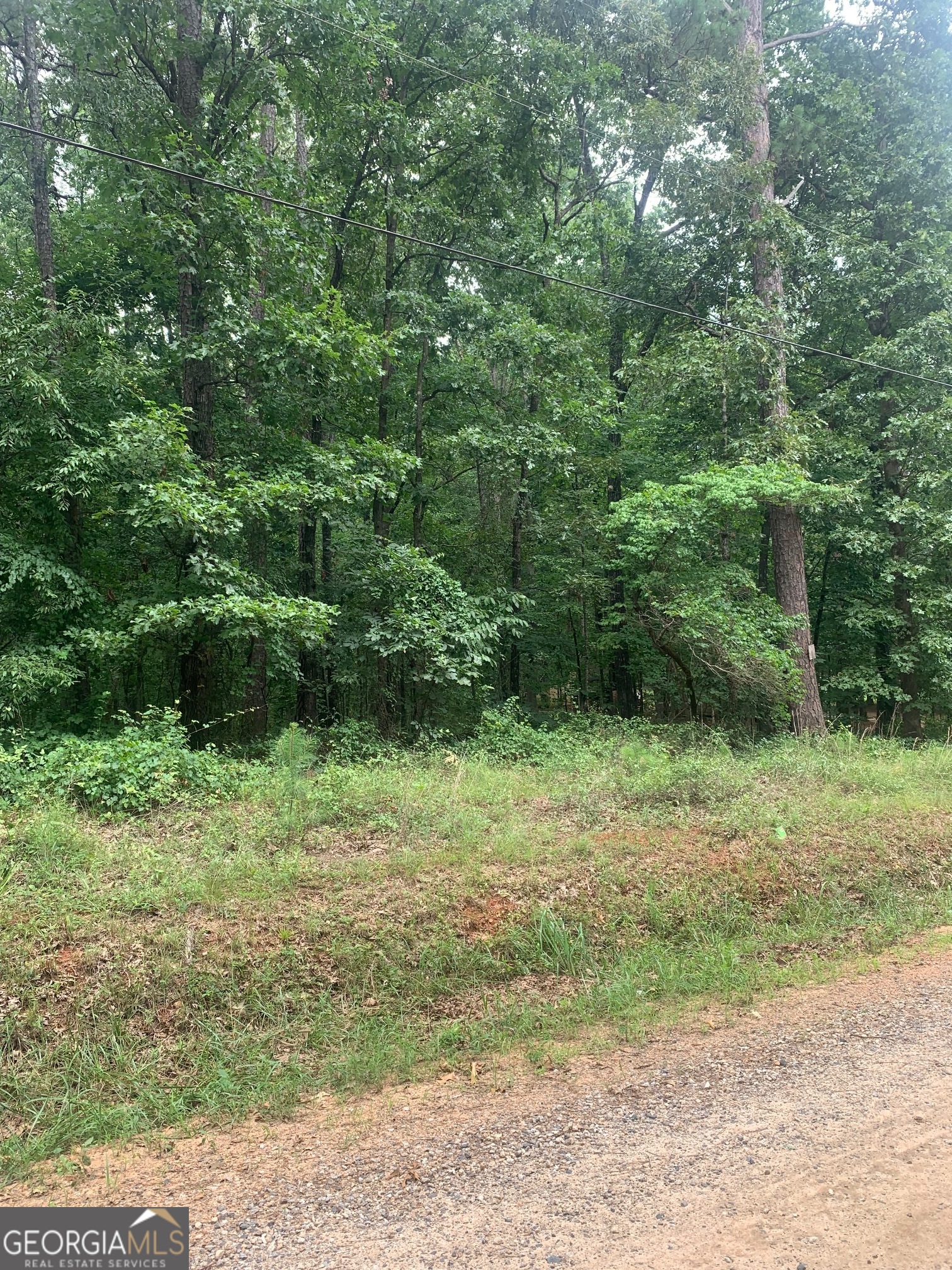 5.008-ac Digby Road, Unit TRACT II Covington, GA 30014 - Photo 4 of 6