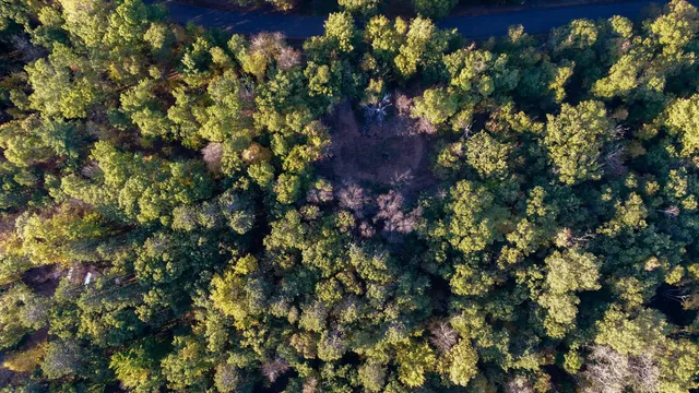 $57,000 | 28649 Great Bear Trail Way, Danbury, WI 54830