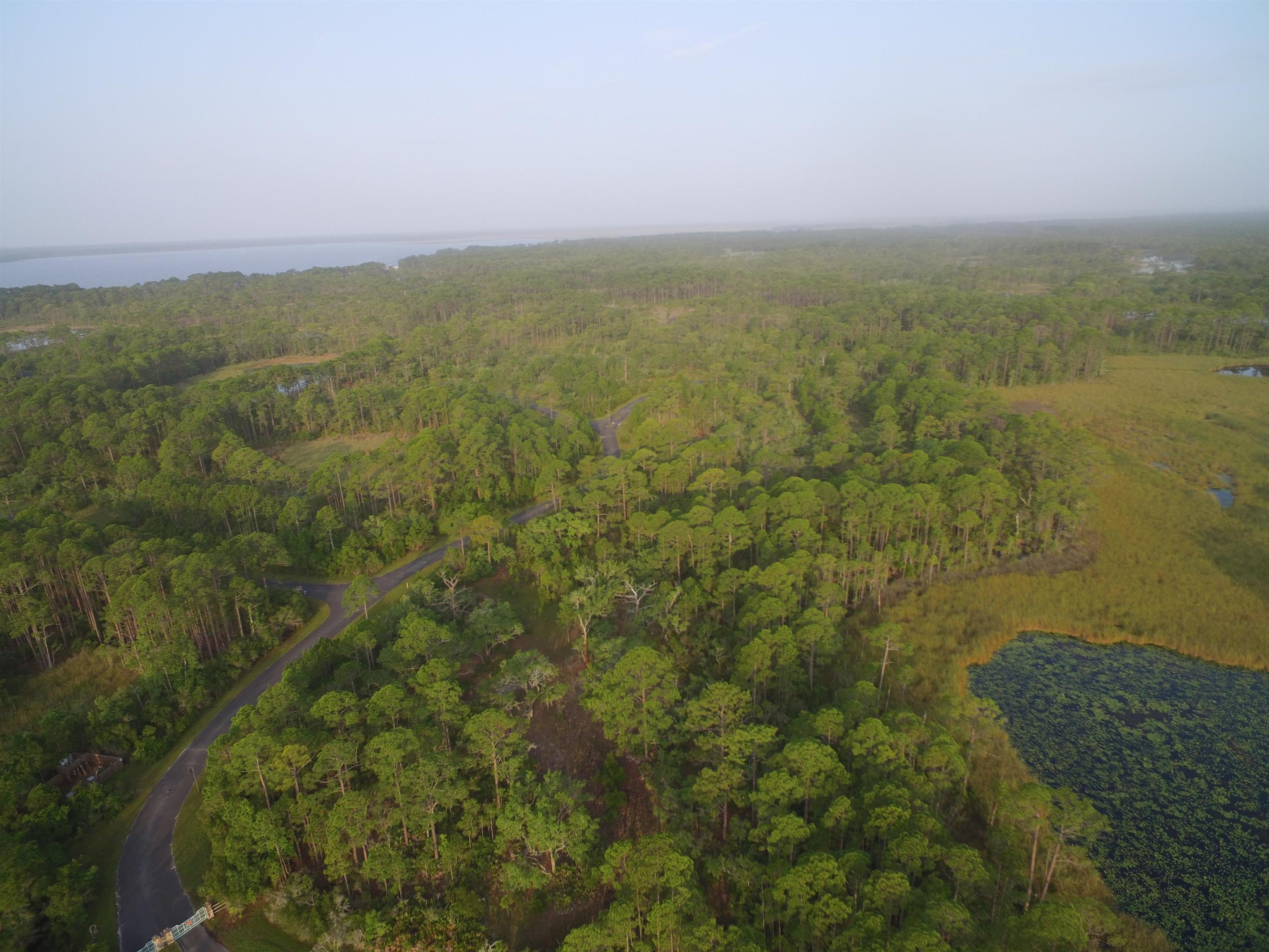Lot 20 Surf Road Panacea, FL 32346 - Photo 4 of 27