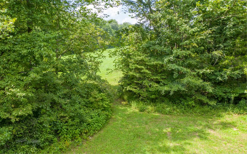 Crumptown Road Farmville, VA 23901 - Photo 24 of 32 Gallery Image 24