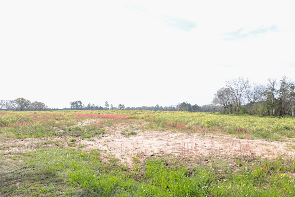 0 Travis Wise Road Samson, AL 36477 - Photo 21 of 21