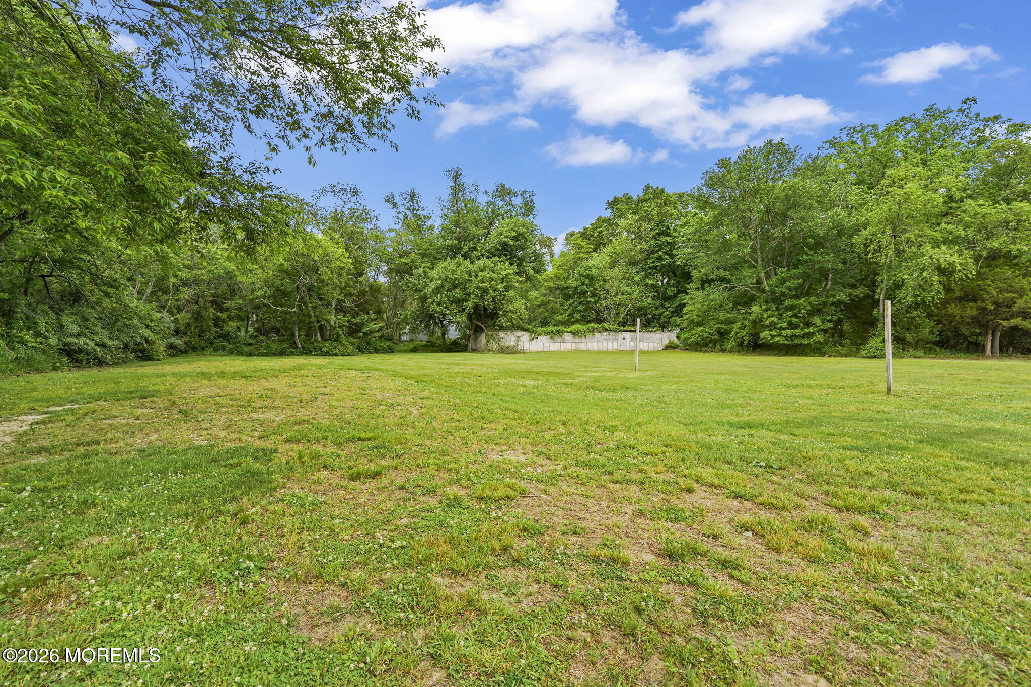 438 Bennetts Mills Road Jackson, NJ 08527 - Photo 31 of 42 a view of a green field with a tree in the background