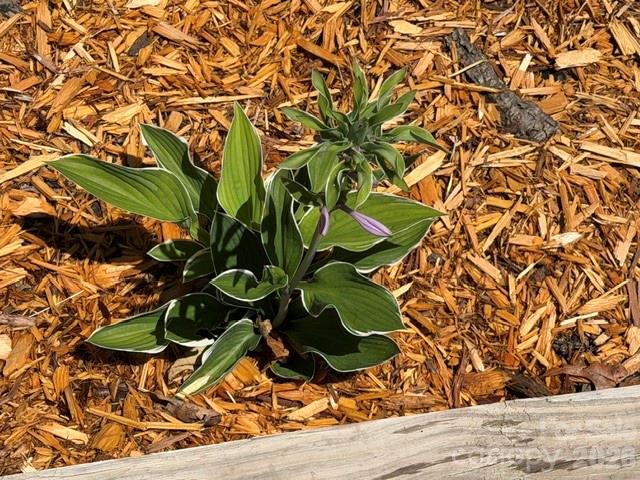 744 Deer Park Road Nebo, NC 28761 - Photo 39 of 41