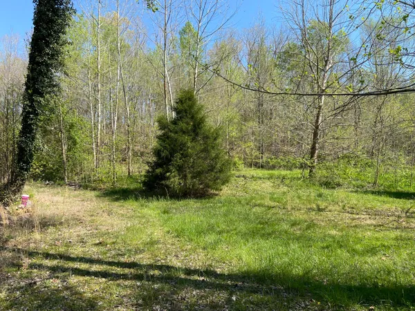 $60,000 | 2205 Lower Cove Loop, Dayton, TN 37321