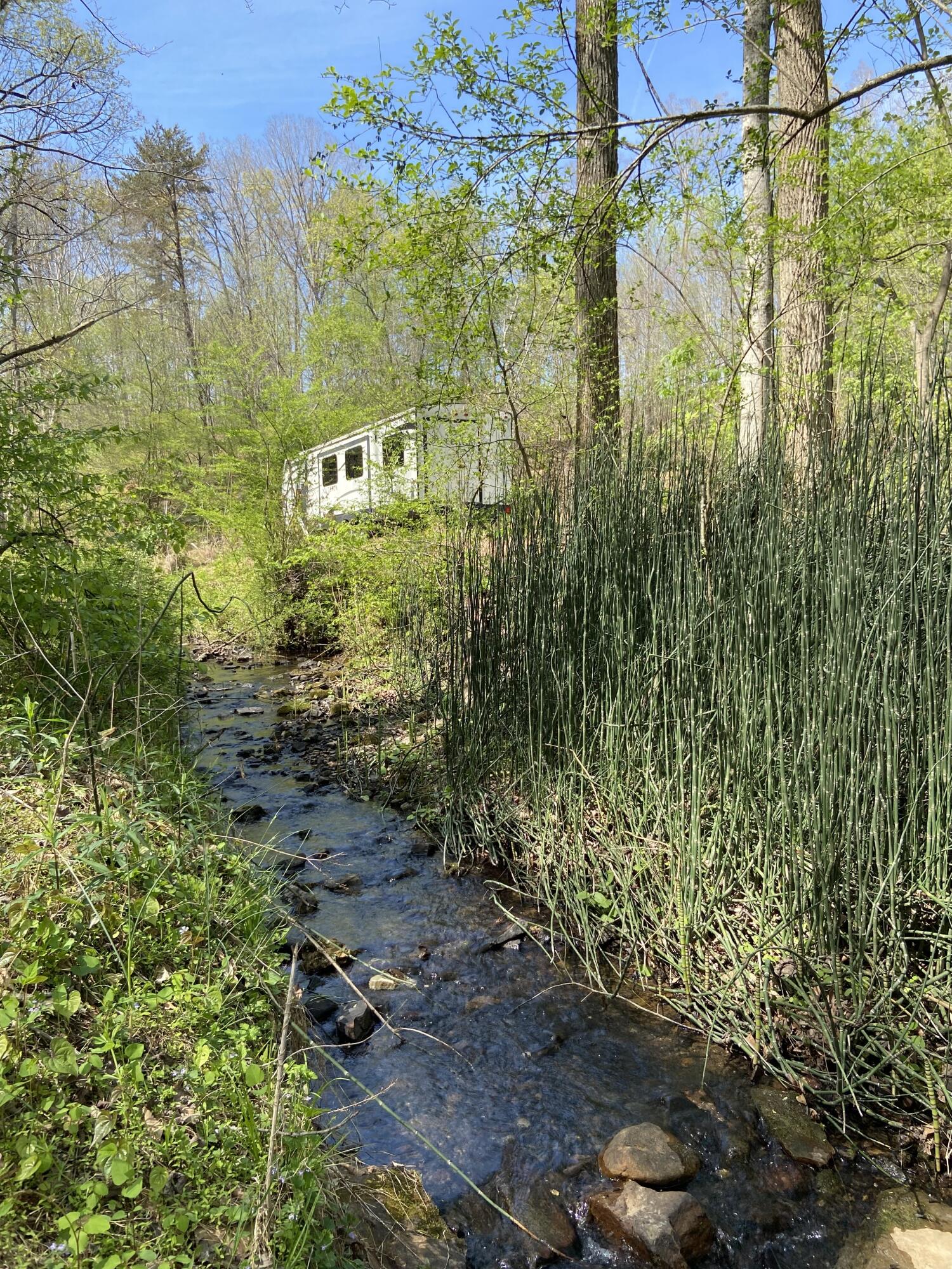 2205 Lower Cove Loop Dayton, TN 37321 - Photo 8 of 10 7