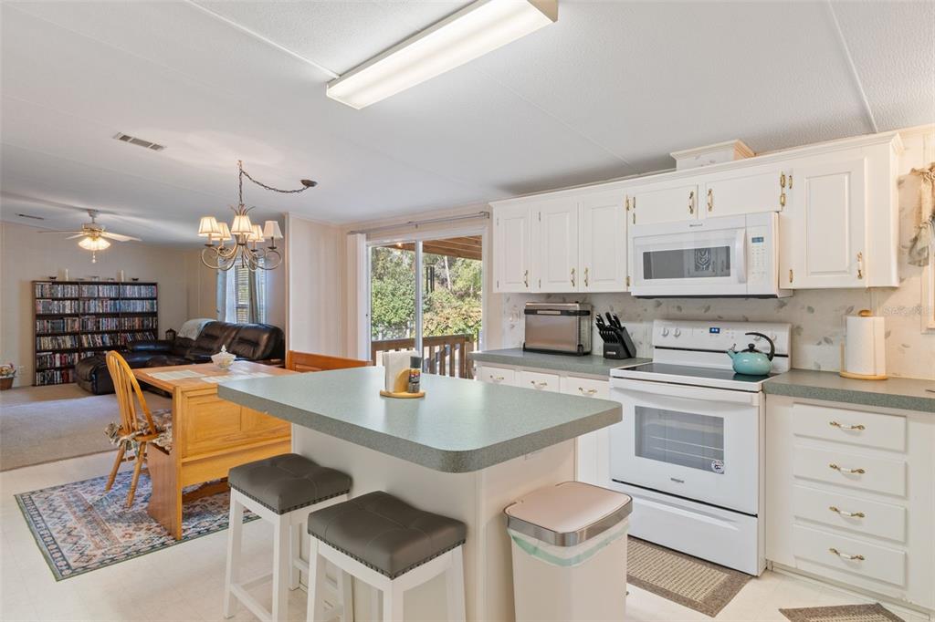 10875 Southwest 155th Street Dunnellon, FL 34432 - Photo 21 of 45