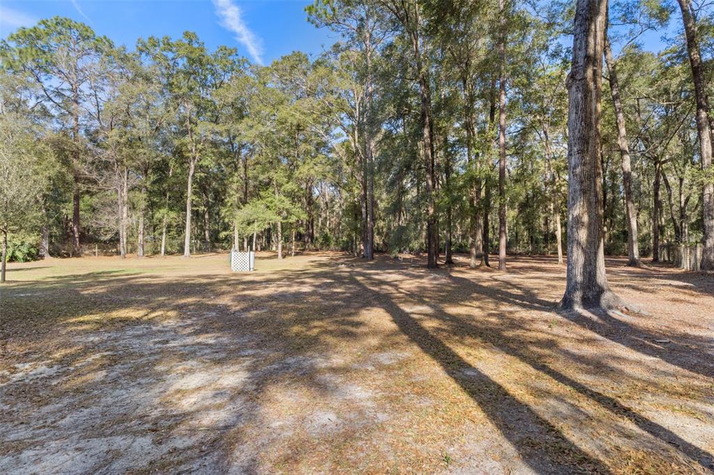 10875 Southwest 155th Street Dunnellon, FL 34432 - Photo 37 of 45