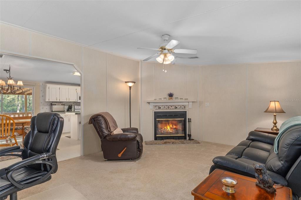 10875 Southwest 155th Street Dunnellon, FL 34432 - Photo 9 of 45