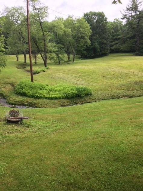245 Higgins Road Hilliards, PA 16040 - Photo 4 of 13 a view of a field with a tree