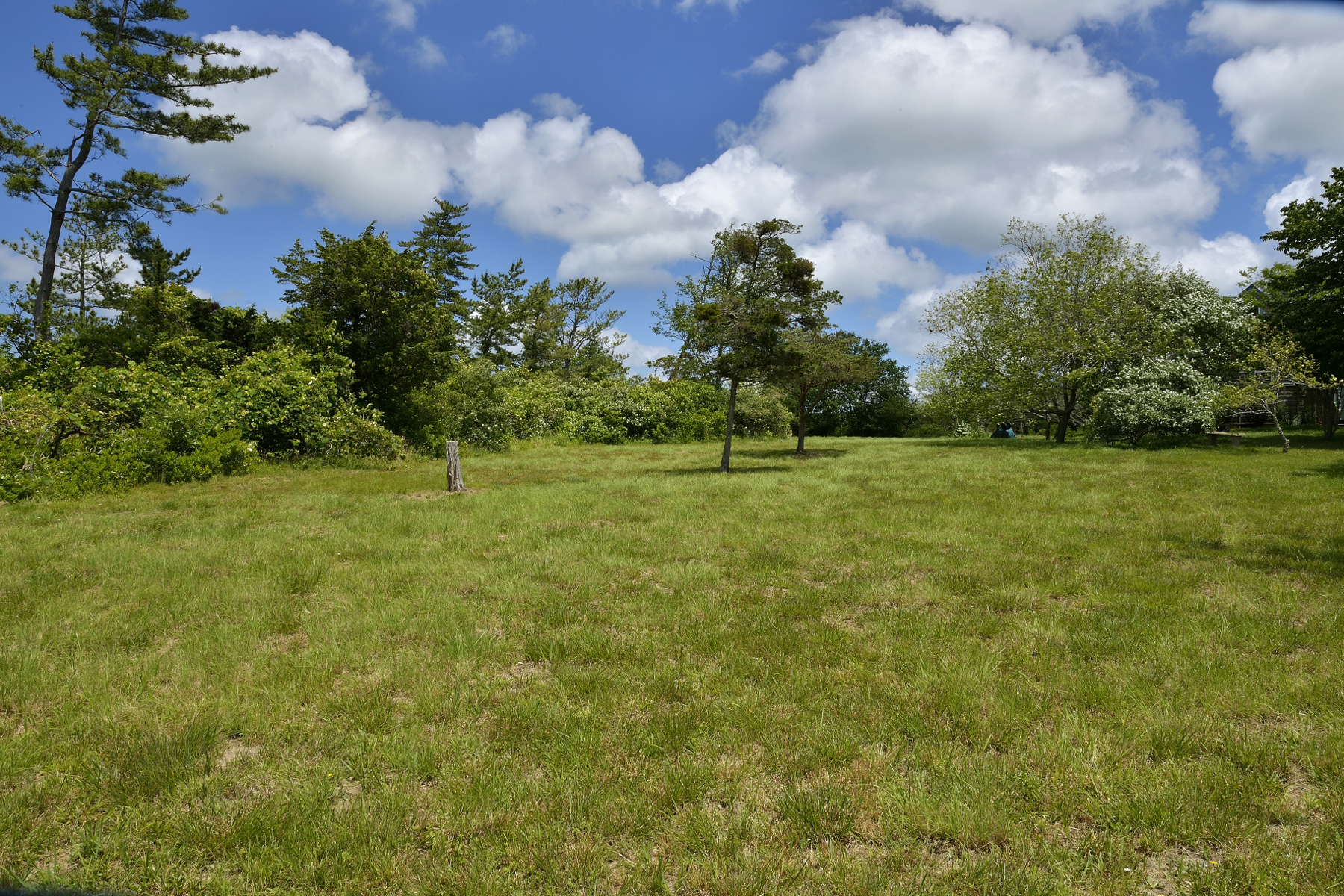 316 Polpis Road Nantucket, MA 02554 - Photo 14 of 16 Gallery Image 14