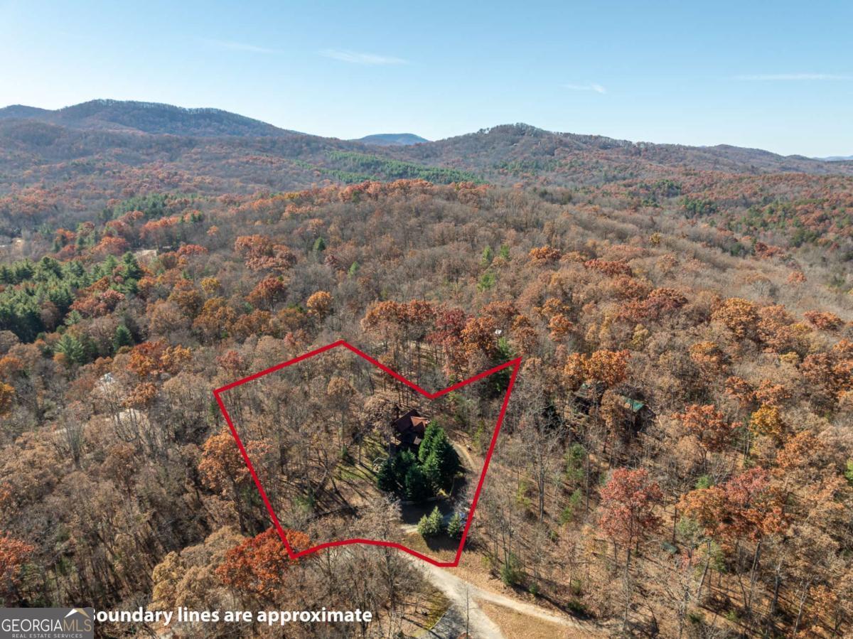 165 Christian Crossing, Unit 15 Morganton, GA 30560 - Photo 12 of 58 a view of a forest with a mountain in the background