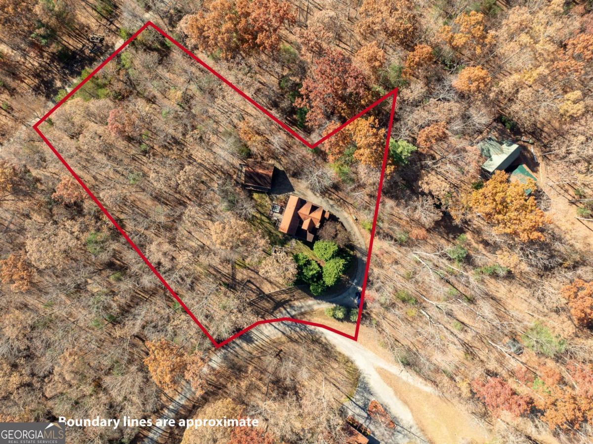 165 Christian Crossing, Unit 15 Morganton, GA 30560 - Photo 13 of 58 a backyard of a house with a lots of plants and trees