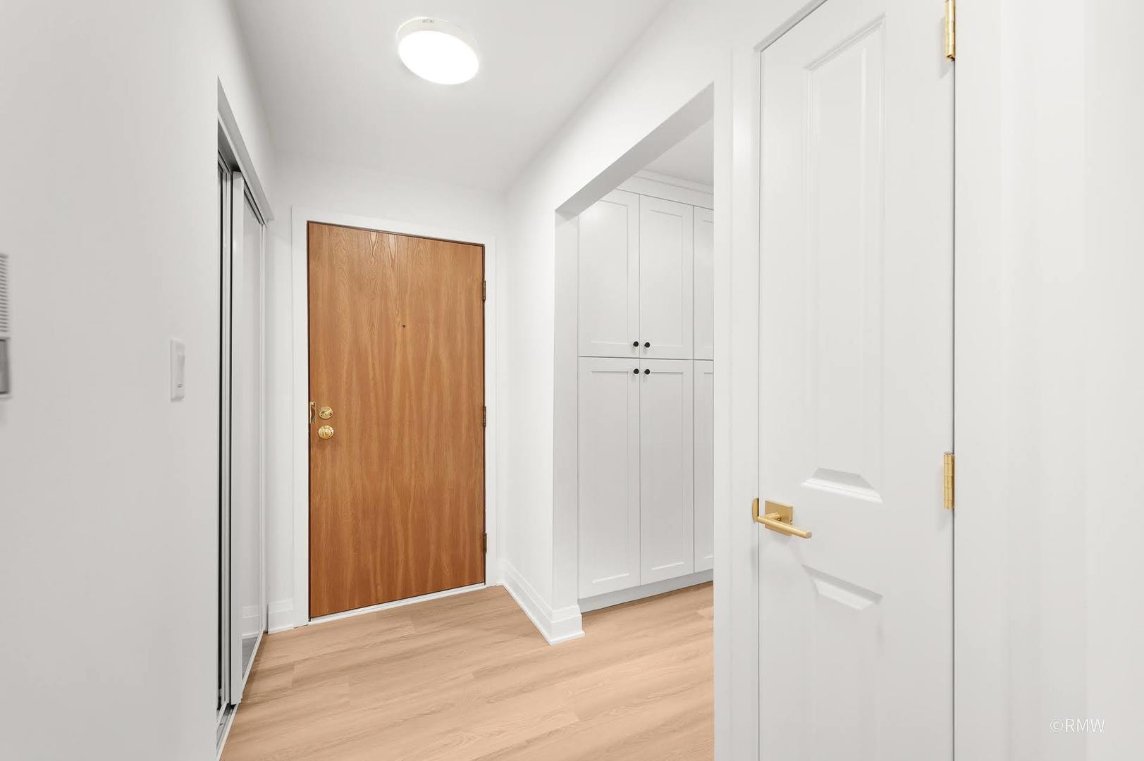 224 South Rush Street, Unit 3A Itasca, IL 60143 - Photo 9 of 13