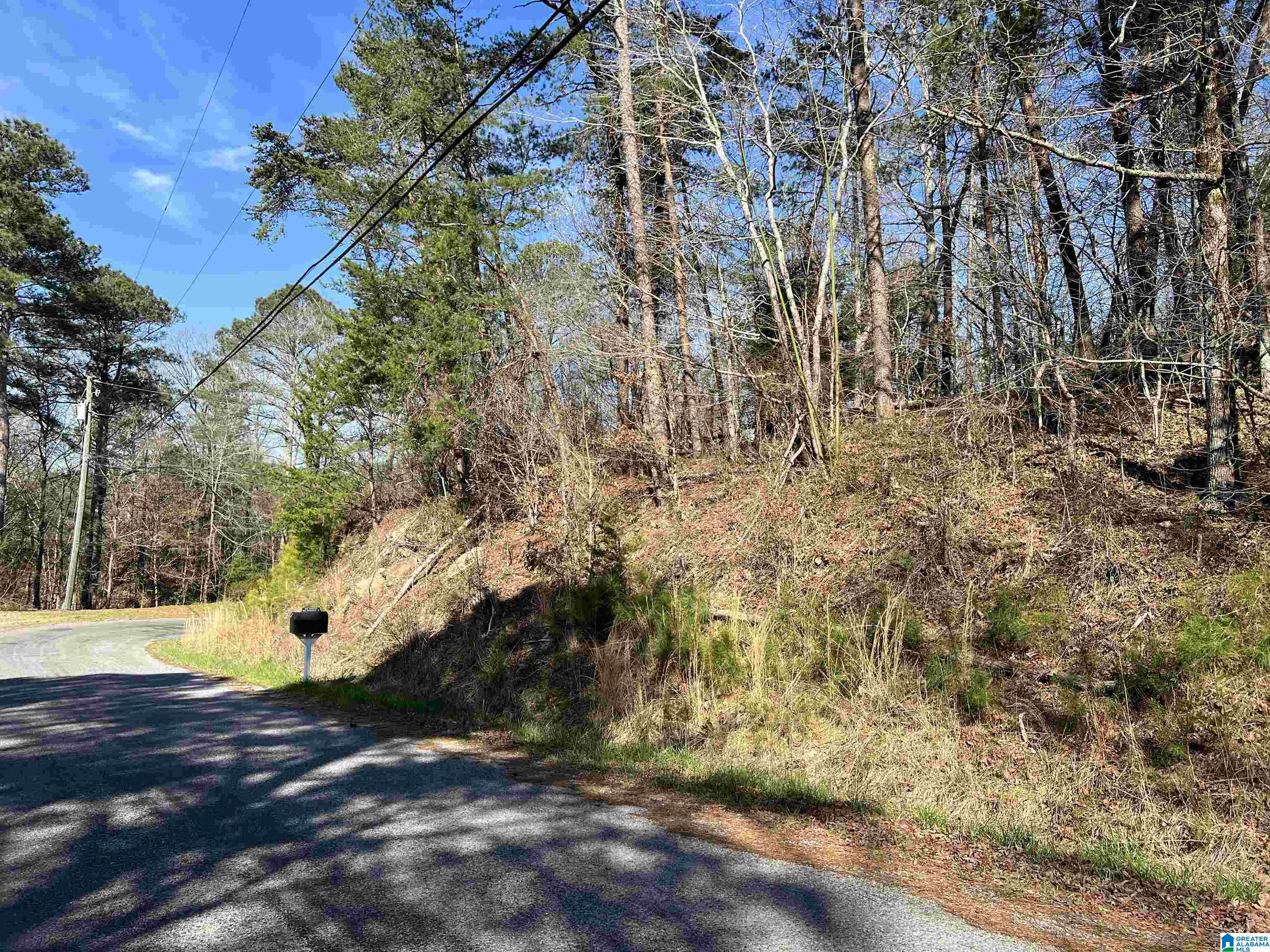 0 Lakeshore Lane, Unit 4 Oneonta, AL 35121 - Photo 28 of 49