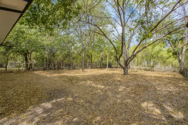 a view of yard with trees