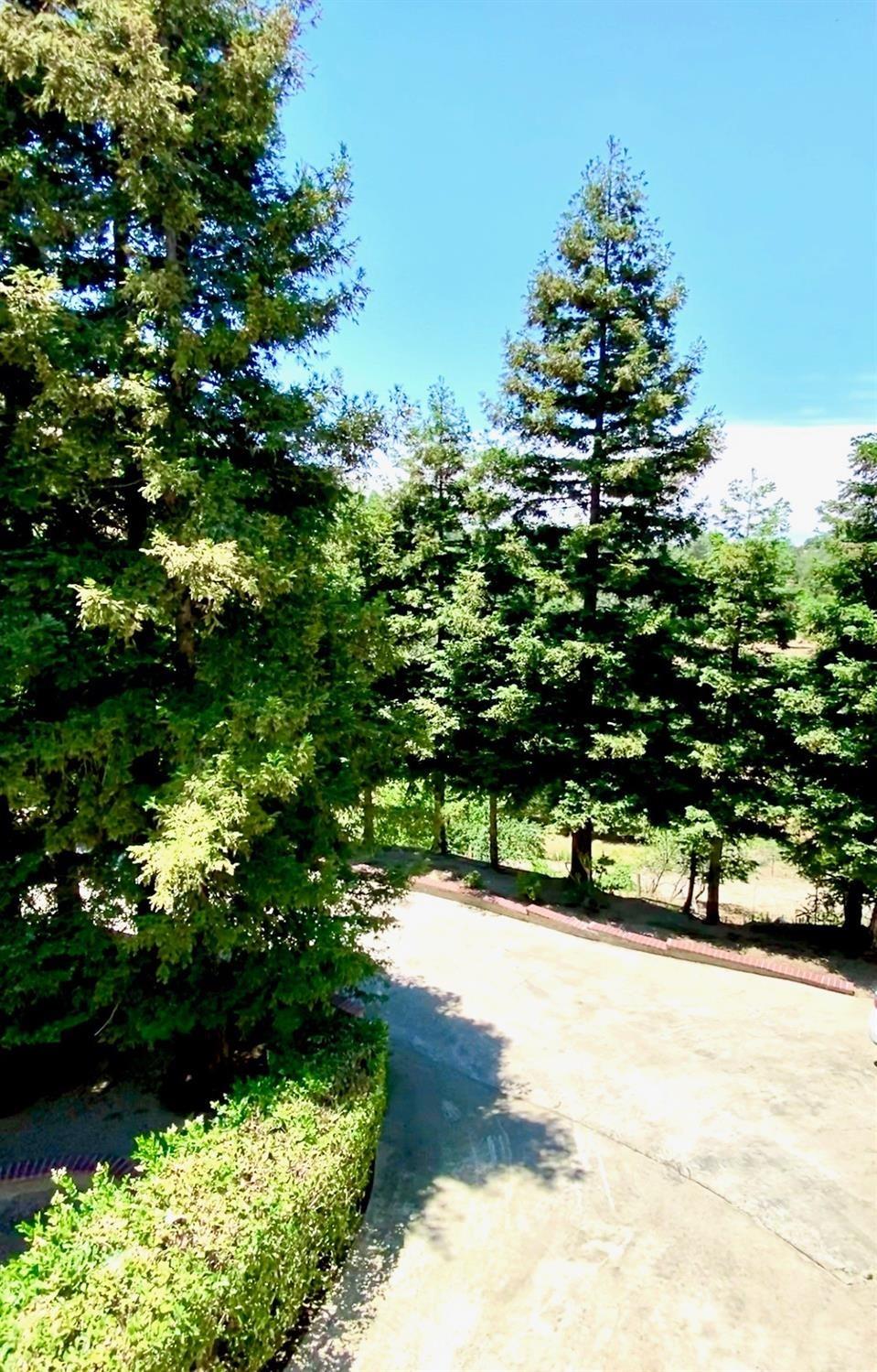 28876 Topaz Road Tollhouse, CA 93667 - Photo 5 of 92 Gallery Image 5