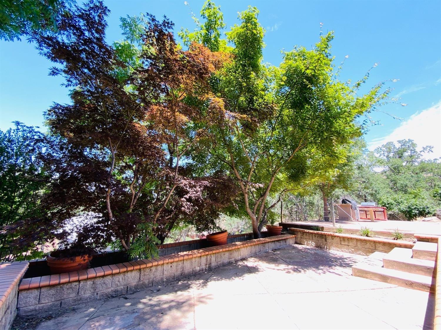 28876 Topaz Road Tollhouse, CA 93667 - Photo 8 of 92 Gallery Image 8