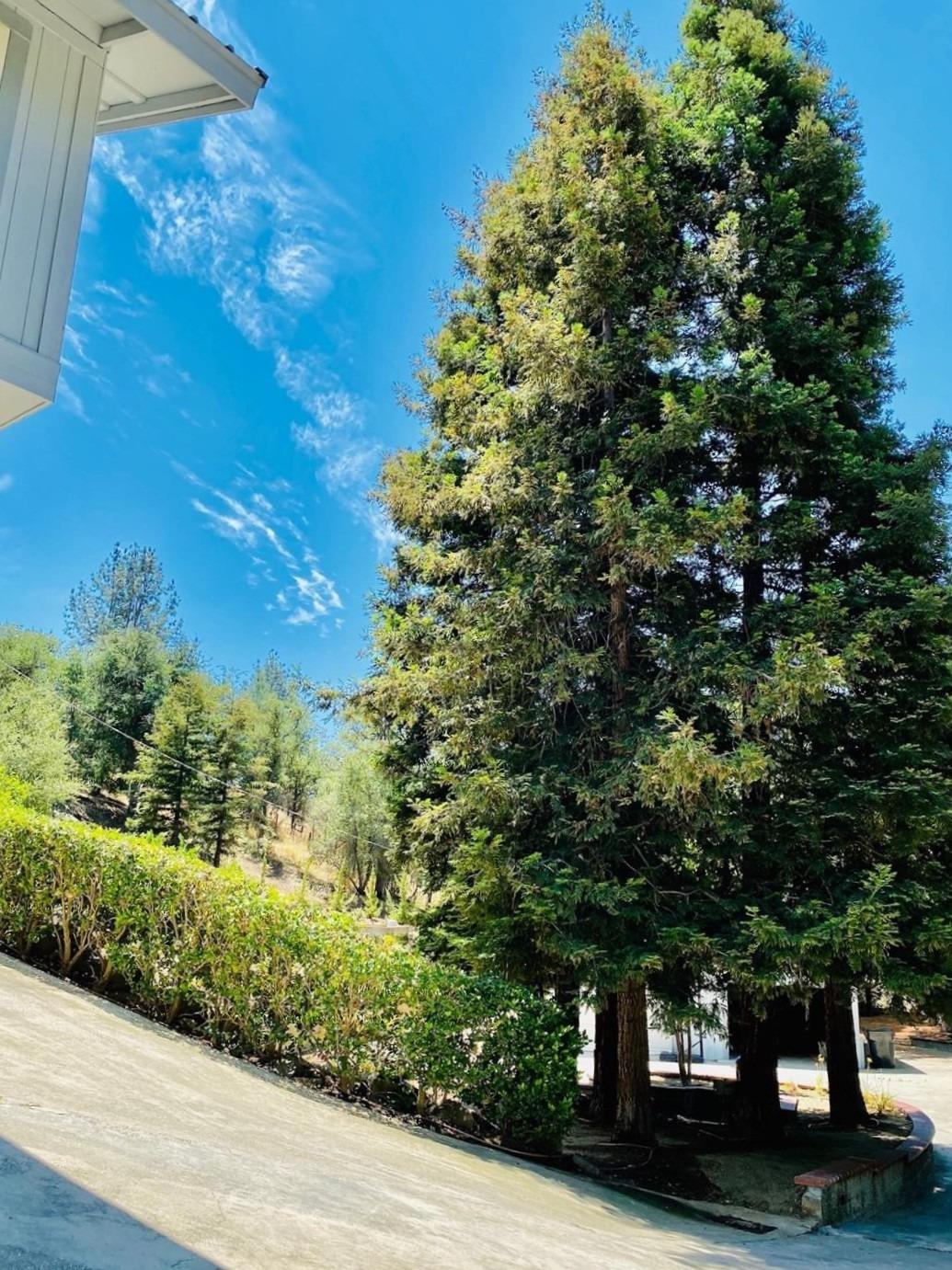 28876 Topaz Road Tollhouse, CA 93667 - Photo 75 of 92 Gallery Image 75