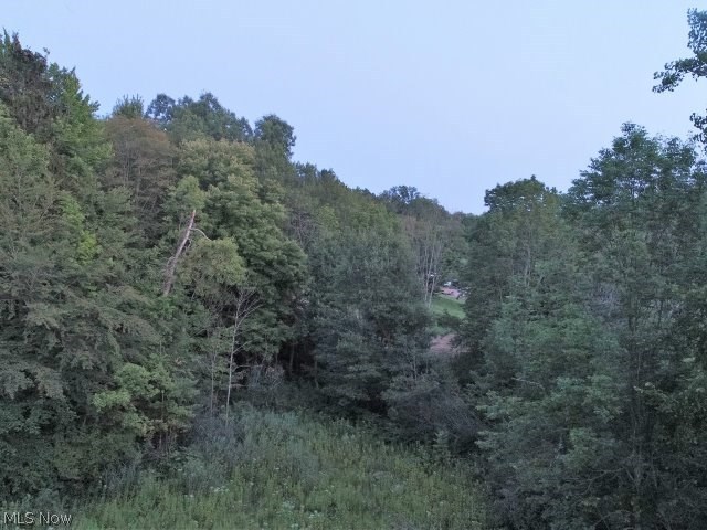9799 Fairmount Road Newbury, OH 44065 - Photo 20 of 24 Gallery Image 20