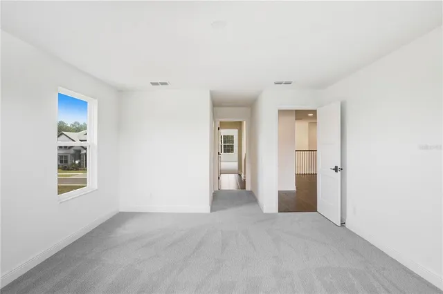 a view of a swimming pool with lawn chairs plants and large tree