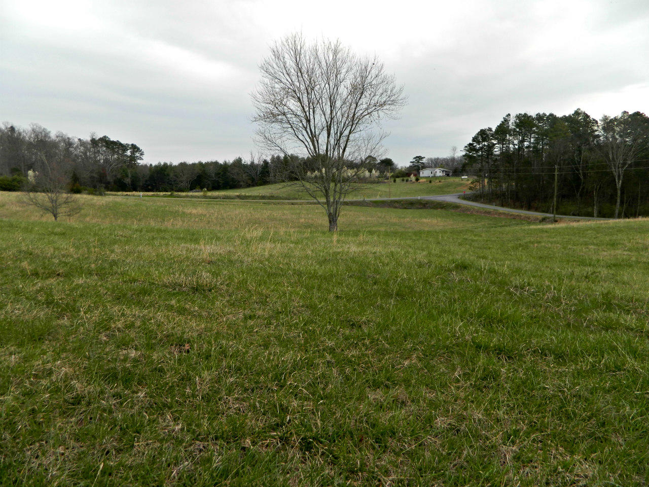 3 Slaton Farm Road Dandridge, TN 37725 - Photo 2 of 5 DSCN2891