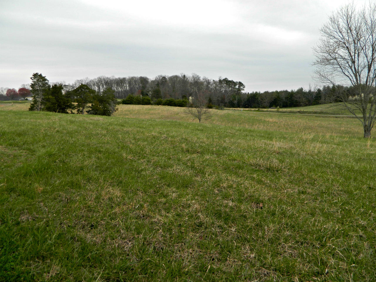 3 Slaton Farm Road Dandridge, TN 37725 - Photo 3 of 5 DSCN2892