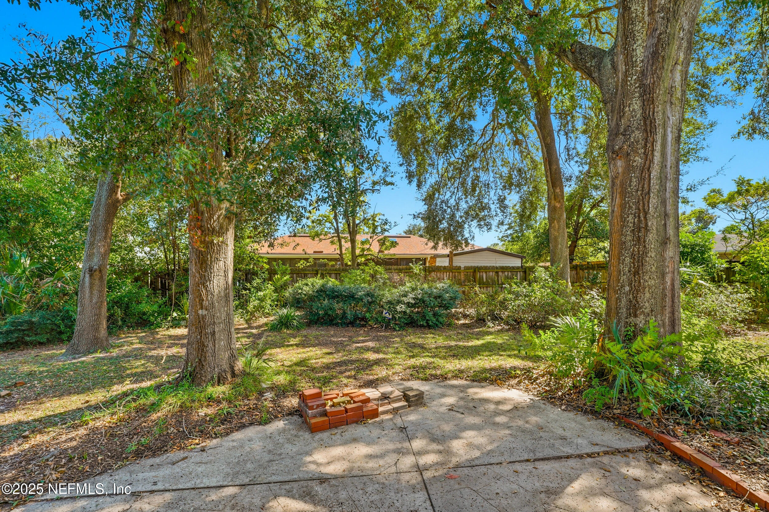 4073 Big Hollow Lane Jacksonville, FL 32277 - Photo 27 of 31 a view of a yard with plants and trees