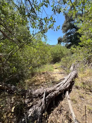 $295,000 | Riverside Drive, Descanso, CA 91916