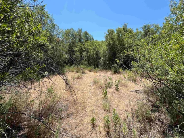 $295,000 | Riverside Drive, Descanso, CA 91916