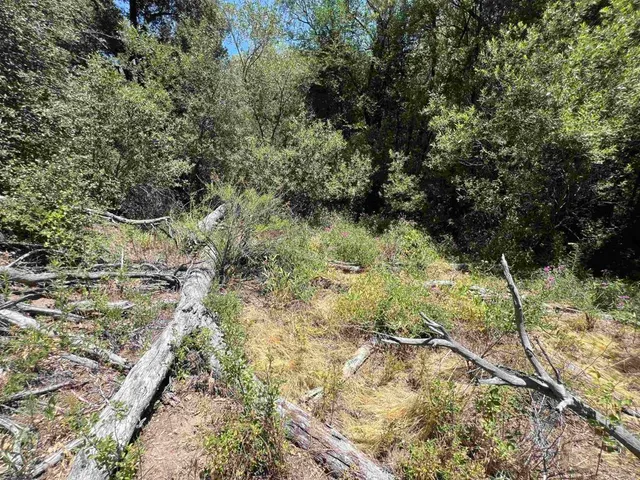 $295,000 | Riverside Drive, Descanso, CA 91916