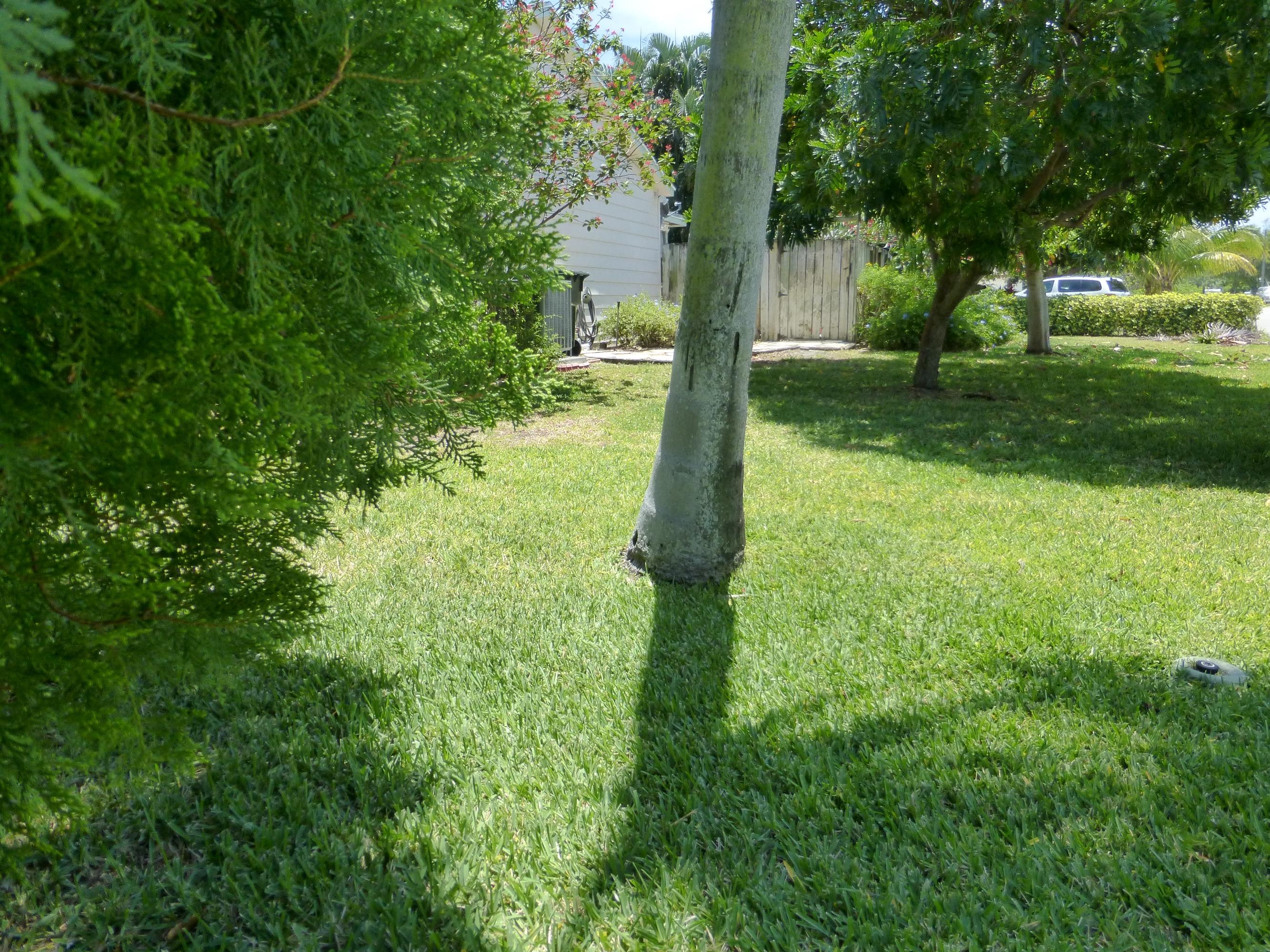 200 Northeast 26th Street Boca Raton, FL 33431 - Photo 31 of 31 P1000729