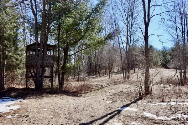 $375,000 | V/l 200th Avenue, Tustin, MI 49688