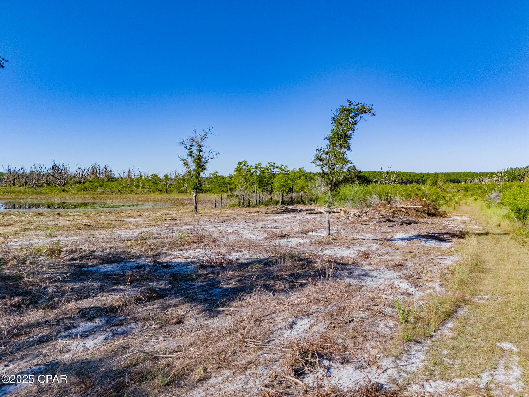 0 Little Wages Road Chipley, FL 32428 - Photo 7 of 22